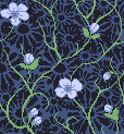 blue-flower-vines